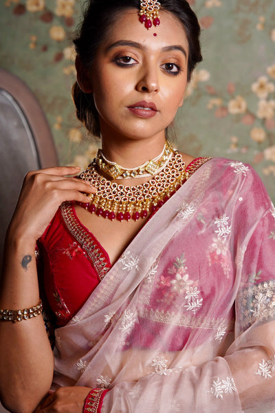 Blush Pink Organza Saree with Rani Pink Border