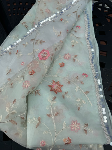 Light Sky Blue Organza Silk Saree