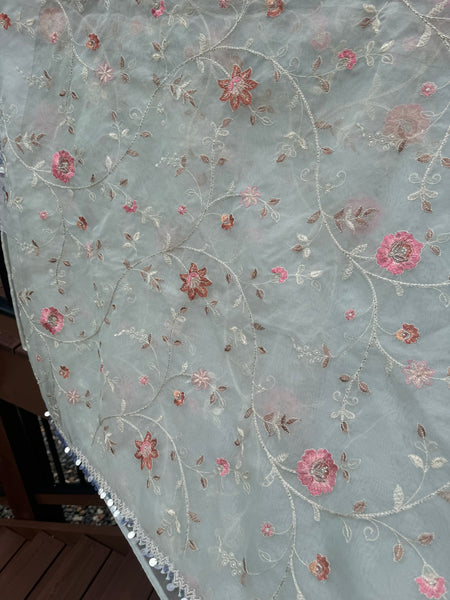 Light Sky Blue Organza Silk Saree