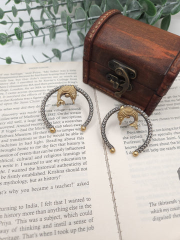 Brass Dual Tone Dolphin Earrings