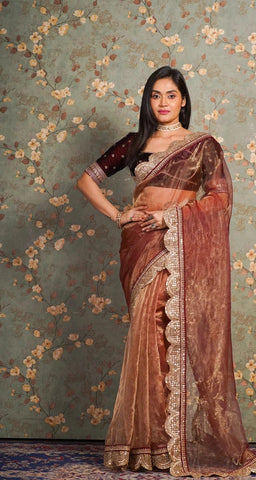 Golden Chocolate Glass Tissue Mehraab Border Saree