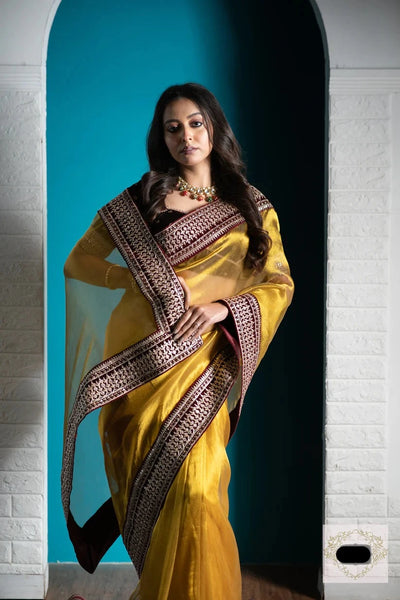 Golden Zari Tissue Border Saree